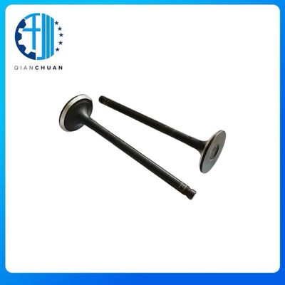 Exhaust Valve 6204414210 4982909 4982895 For B3.3 Excavator Engine Spare Parts